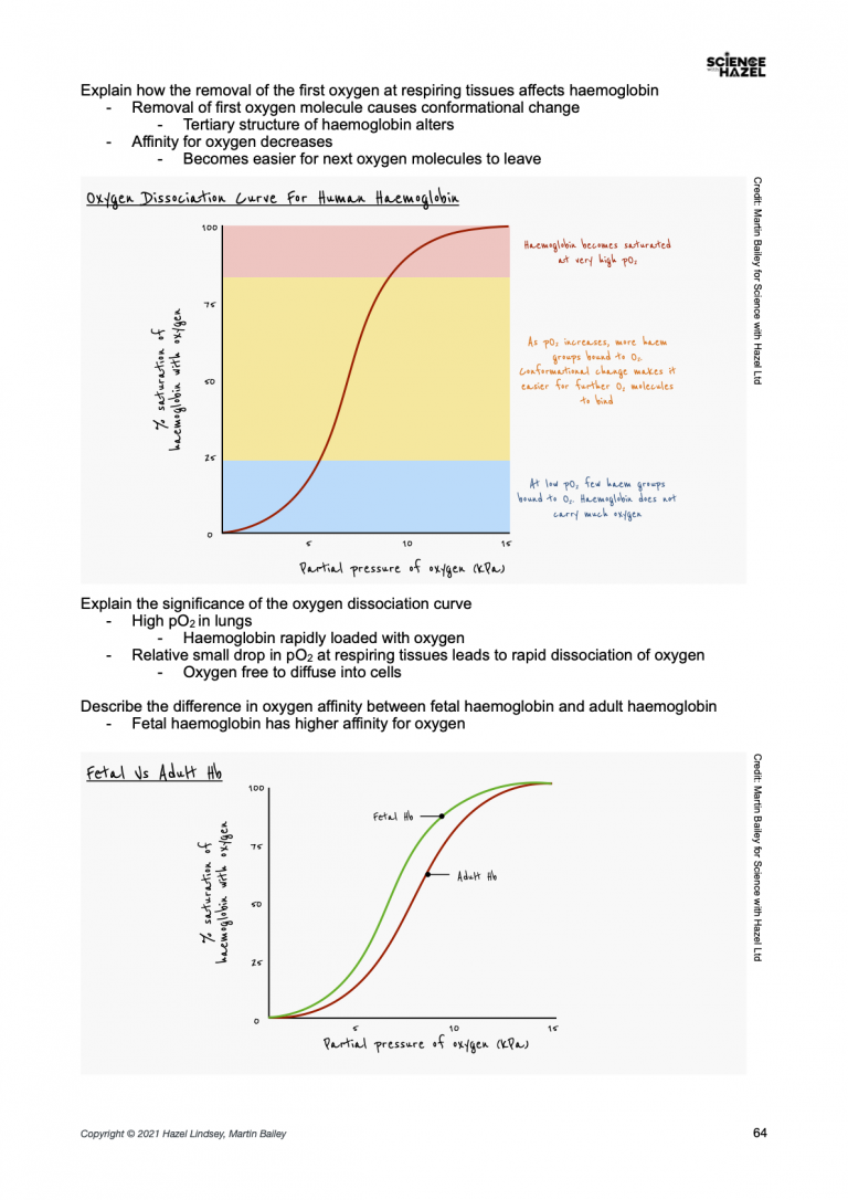 310656-pag-activity-biology-testing-for-biological-molecules-suggestion